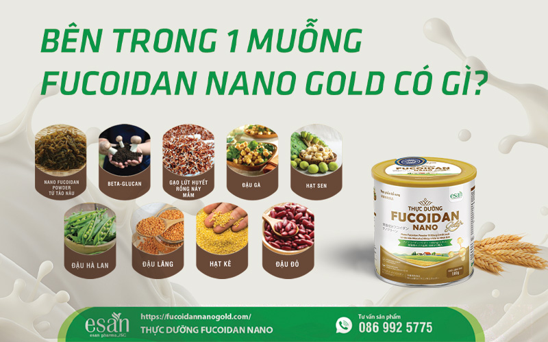 Bên trong 1 muỗng Fucoidan Nano Gold có gì?
