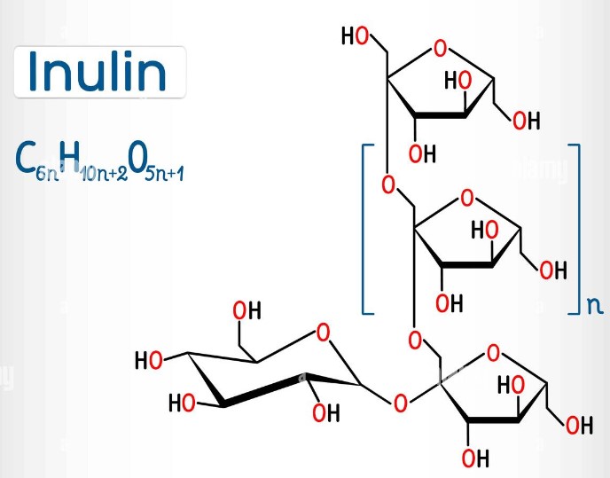 chat-xo-inulin-la-gi.jpg (48 KB)