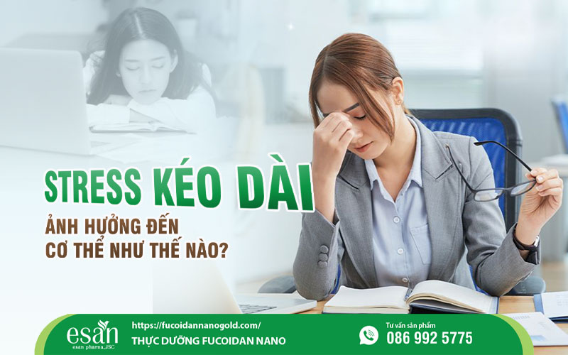 stress-keo-dai-met-moi.jpg (77 KB)