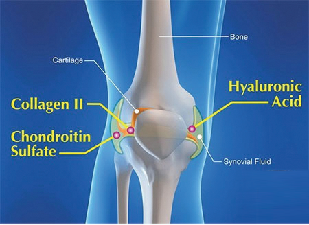 can-xi-2.png (322 KB)