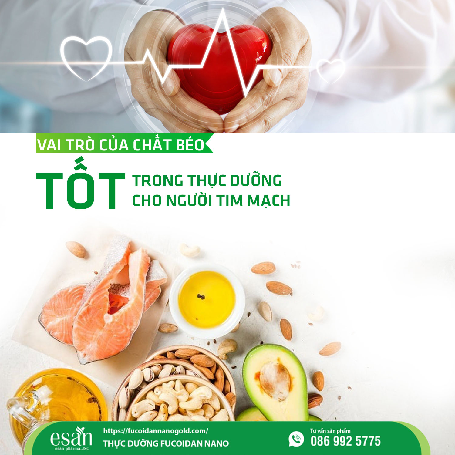 chat-beo.jpg (277 KB)