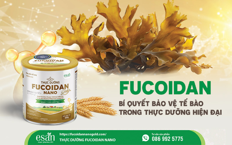 Fucoidan - Bí quyết bảo vệ tế bào trong thực dưỡng hiện đại