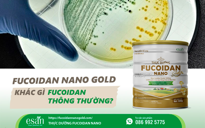 Fucoidan Nano Gold khác gì Fucoidan thông thường? 