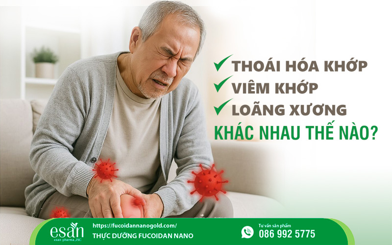 Thoái hóa khớp, viêm khớp và loãng xương khác nhau như thế nào?