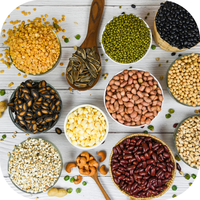 ngu-coc-nguyen-hat-01.png (1004 KB)