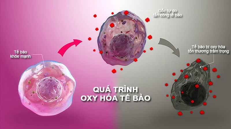 oxy-hoa.jpg (56 KB)