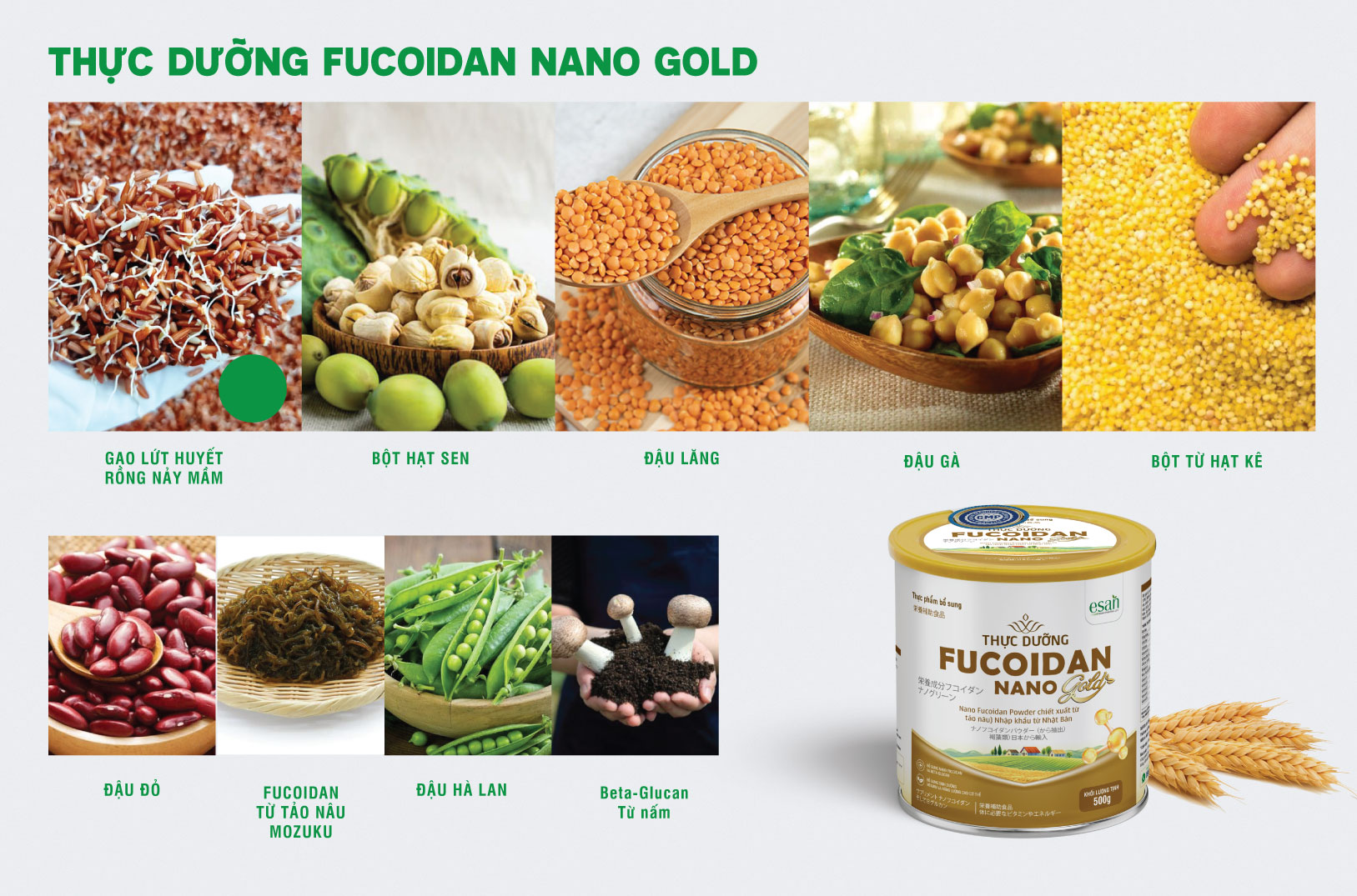 THỰC DƯỠNG FUCOIDAN NANO GOLD