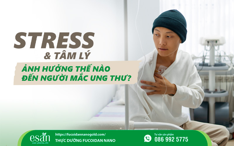 Stress & tâm lý - “liều thuốc” vô hình đối với người mắc ung thư